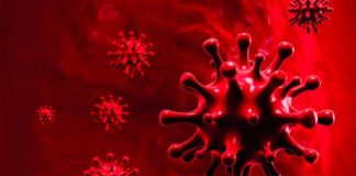 দেশে করোনায় মৃত্যু ১৯শ ছাড়ালো, শনাক্ত ৪০১৯