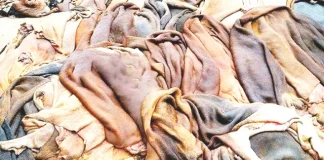 পুঁজি সংকটে খুলনার চামড়া ব্যবসায়ীরা