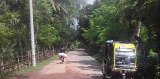 রাজগঞ্জ-পুলেরহাট সড়ক পিচ খোয়া উঠে ঝুঁকিপূর্ণ