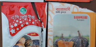 চুয়াডাঙ্গায় বীজ থেকে কুমড়া না হওয়ায় লাখ লাখ টাকার ক্ষতি