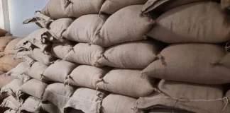 ঝাঁপায় ডিলারের বাড়ি থেকে ৩১২ বস্তা খাদ্যবান্ধব চাল উদ্ধার