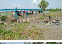 বিল খুকশিয়ার স্লুইস গেটের পলি অপসারণ করে সেচ দিয়ে পানি নিষ্কাশন হরি নদীতে