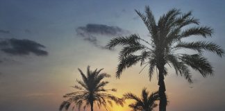 নতুনের প্রত্যাশায় স্বাগতম ২০২৫