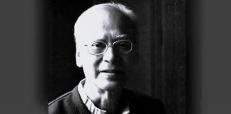 খণ্ডিত ও পূর্ণ আনিসুর রহমান এবং তার সময়