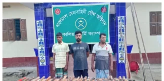 কালিয়ায় পিস্তল গুলি ও ২৮টি ধারালো অস্ত্রসহ আটক-৩