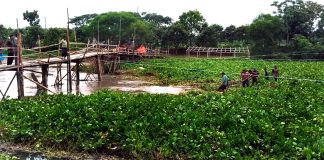 সাগরদাঁড়িতে কপোতাক্ষে সাঁকো ভেঙে দু’পারের মানুষের যোগাযোগ বিচ্ছিন্ন