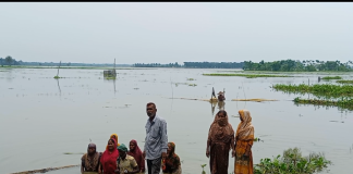শালিখায় ৩০ গ্রাম পানিতে তলিয়ে গেছে