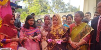 নড়াইলে পিঠা উৎসব