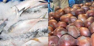 বাজারে ছোট-বড় সব ইলিশের পেটে ডিম পিঁয়াজের কেজিতে বাড়ল ৩৫ টাকা