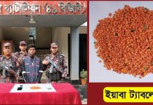 যশোরে ৪ হাজার পিস ইয়াবাসহ আটক ১