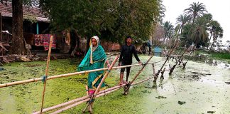 কেশবপুরে ৬০ বিলের সেচের পানিতে ১২টি গ্রাম প্লাবিত