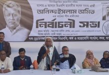 এবারের নির্বাচন গণতন্ত্র প্রতিষ্ঠার: অধ্যাপক নার্গিস বেগম