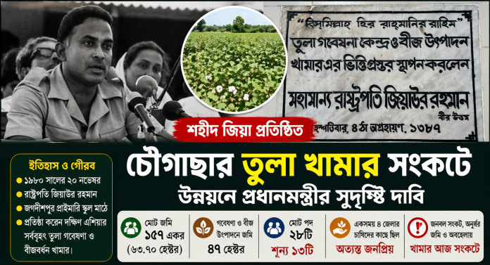 চৌগাছার তুলা খামার সংকটে প্রধানমন্ত্রীর হস্তক্ষেপ চায় স্থানীয়রা