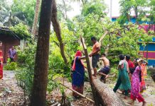 বৈশাখের প্রথম ঝড়ে দক্ষিণ-পশ্চিমাঞ্চলে বজ্রপাতে ৪ জন নিহত, ফসলের ক্ষতি বৈশাখী ঝড়ে দক্ষিণ-পশ্চিমাঞ্চলে ক্ষতি