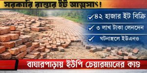 বাঘারপাড়ায় রাস্তা