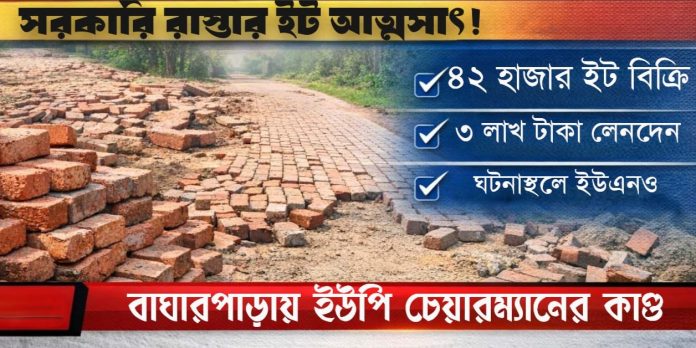 বাঘারপাড়ায় রাস্তা