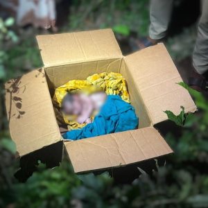 যশোরে কার্টনে নবজাতকের মরদেহ