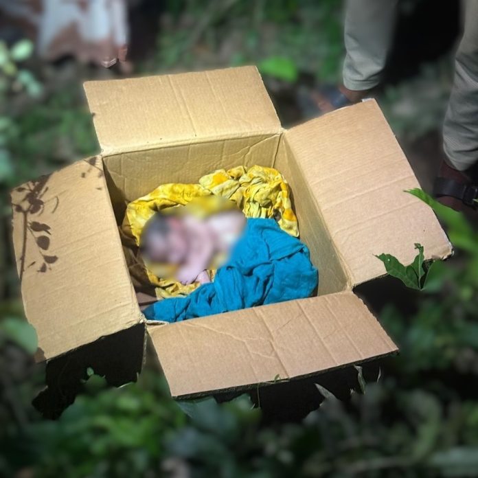 যশোরে কার্টনে নবজাতকের মরদেহ