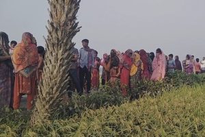 benapol deadbody recovery