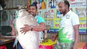 এক কাতল ৬৮ হাজার টাকা