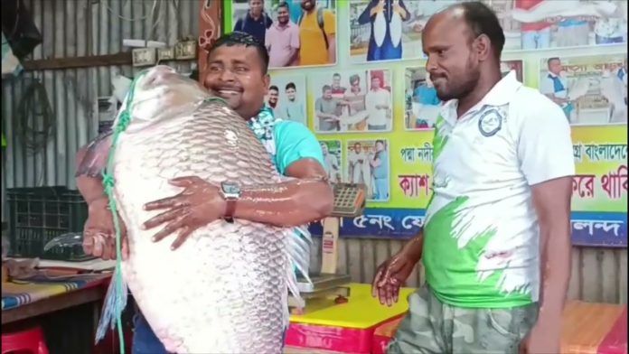 এক কাতল ৬৮ হাজার টাকা