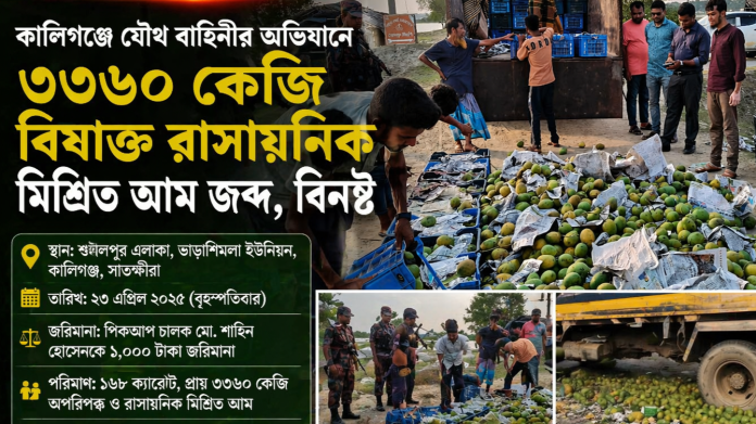 কালিগঞ্জে যৌথ বাহিনীর অভিযানে বিষাক্ত আম জব্দ ও বিনষ্ট