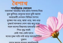 বৈশাখের কবিতা