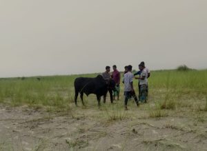 মাওয়ায় পদ্মায় ট্রলার ডুবি