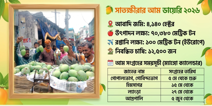 সাতক্ষীরায় আম পাড়া উৎসবে বাগান থেকে আম সংগ্রহ করছেন চাষিরা