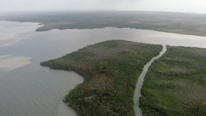 সুন্দরবন জুড়ে এখন বনদস্যু আলোচনা