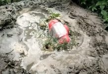 চুয়াডাঙ্গায় মৎস্য কেন্দ্রের সামনে থেকে বোমা সদৃশ বস্তু উদ্ধার