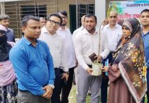 মণিরামপুরে পরিবেশ সুরক্ষায় বিআরডিবির চারা বিতরণ কর্মসূচি