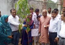 “ওয়ান চাইল্ড, ওয়ান ট্রি” প্রতিপাদ্যে ঝিকরগাছায় বৃক্ষরোপণ কর্মসূচি