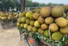 কাঁঠালের বাজার মন্দা চৌগাছায়