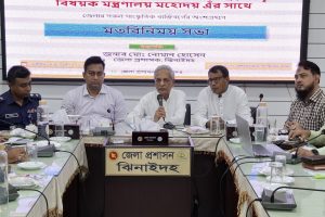 ঝিনাইদহ সংস্কৃতি বিষয়ক মন্ত্রী নিতাই রায় চৌধুরী
