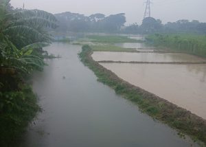 ঝিকরগাছায় অস্তিত্ব হারাচ্ছে হরিহর নদ