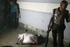 খুলনায় নারীর বস্তাবন্দী মরদেহ