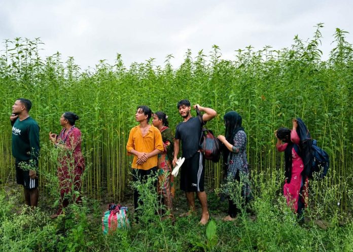 কুষ্টিয়া সীমান্তে ৮ জনকে পুশইনের চেষ্টা