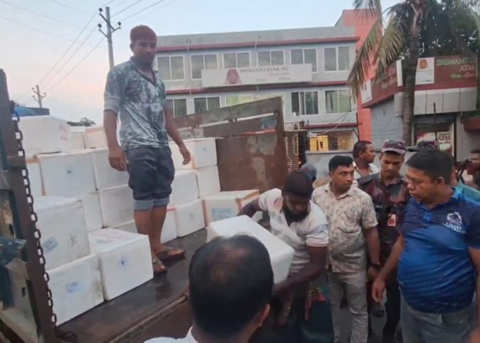 সাতক্ষীরায় বিজিবির অভিযানে ৮২০ কেজি জেলি পুশ করা চিংড়ি জব্দ
