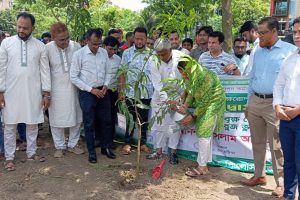 সোনালী ব্যাংক জেনারেল ম্যানেজার'স অফিস যশোর বৃক্ষ রোপণ কর্মসূচি