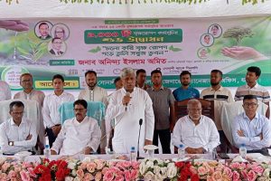 সোনালী ব্যাংক জেনারেল ম্যানেজার'স অফিস যশোর বৃক্ষ রোপণ কর্মসূচি