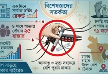 সেপ্টেম্বরে ভয়ংকর হতে পারে ডেঙ্গু