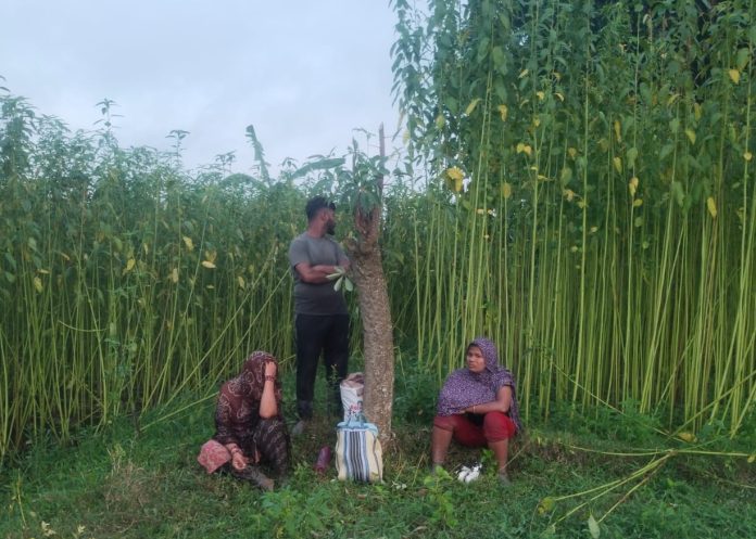 চুয়াডাঙ্গা সীমান্তে বিএসএফের পুশ-ইনের চেষ্টা
