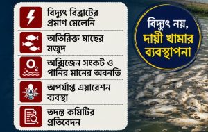 যশোরের শার্শার সোনামুখী বিলে মাছের মড়কের ঘটনায় তদন্ত কমিটির প্রতিবেদন