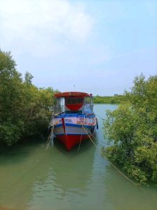 সেপ্টেম্বর খুলছে সুন্দরবন,