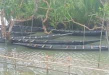 তিন মাসের নিষেধাজ্ঞায় সুন্দরবনের প্রাণ ফিরেছে, ১ সেপ্টেম্বর থেকে উন্মুক্ত