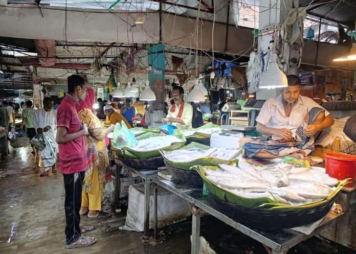 ভারত থেকে ইলিশ আমদানি বন্ধ