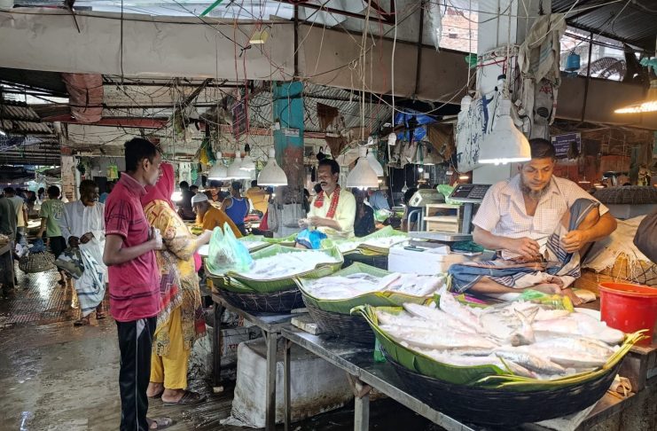 ভারত থেকে ইলিশ আমদানি বন্ধ