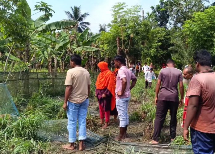 ঝিনাইদহে ঘাসের মাঠে ঝুলন্ত বিদ্যুতের তারে স্পৃষ্ট হয়ে যুবকের মৃত্যু