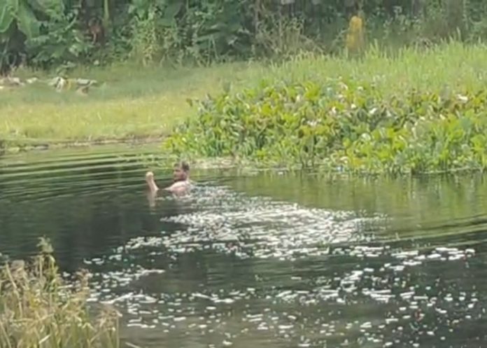 মহেশপুর সীমান্তে বিজিবির বাধায় বিএসএফের পুশ-ইন চেষ্টা ব্যর্থ